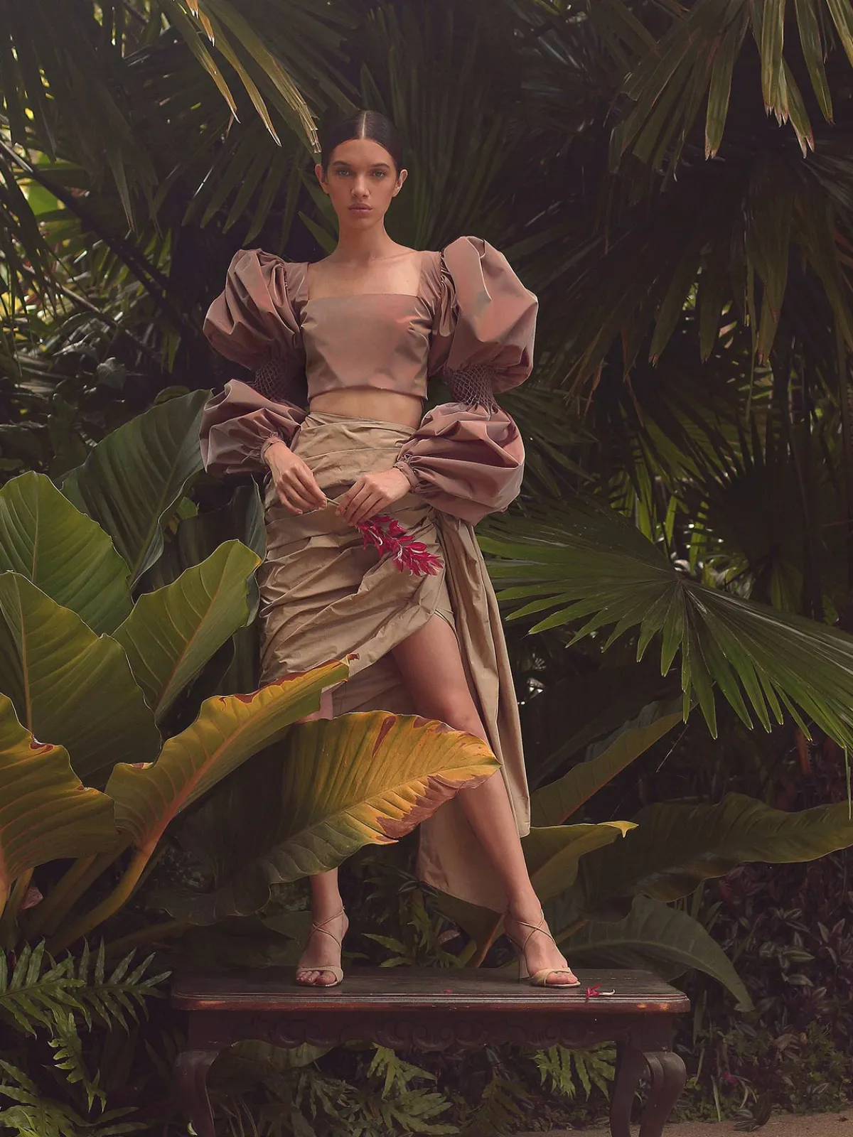 By Efrain Mogollon Marturet Top