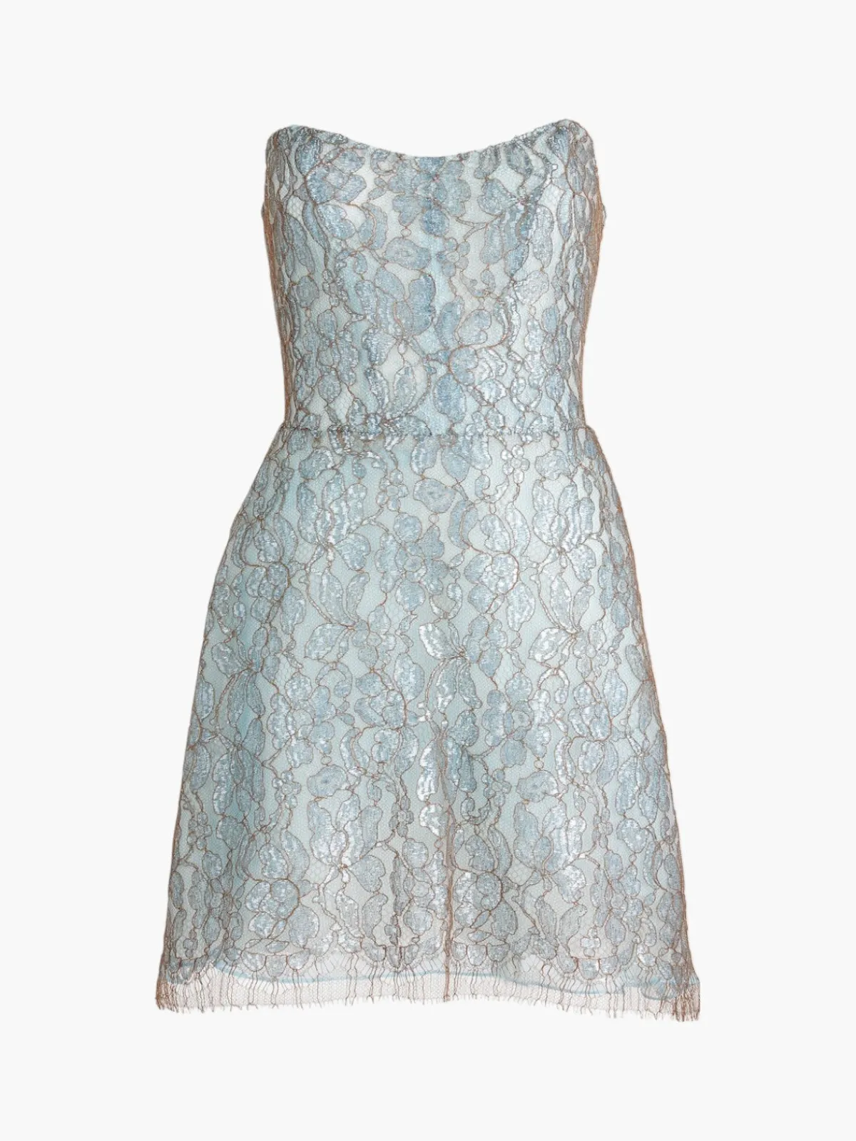 Francesca Miranda Glacier Lace Mini Dress