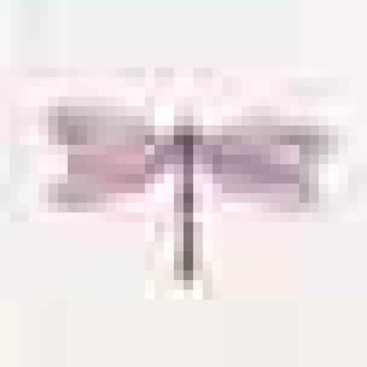 Francesca Miranda Cocktail Napkin Set of 4