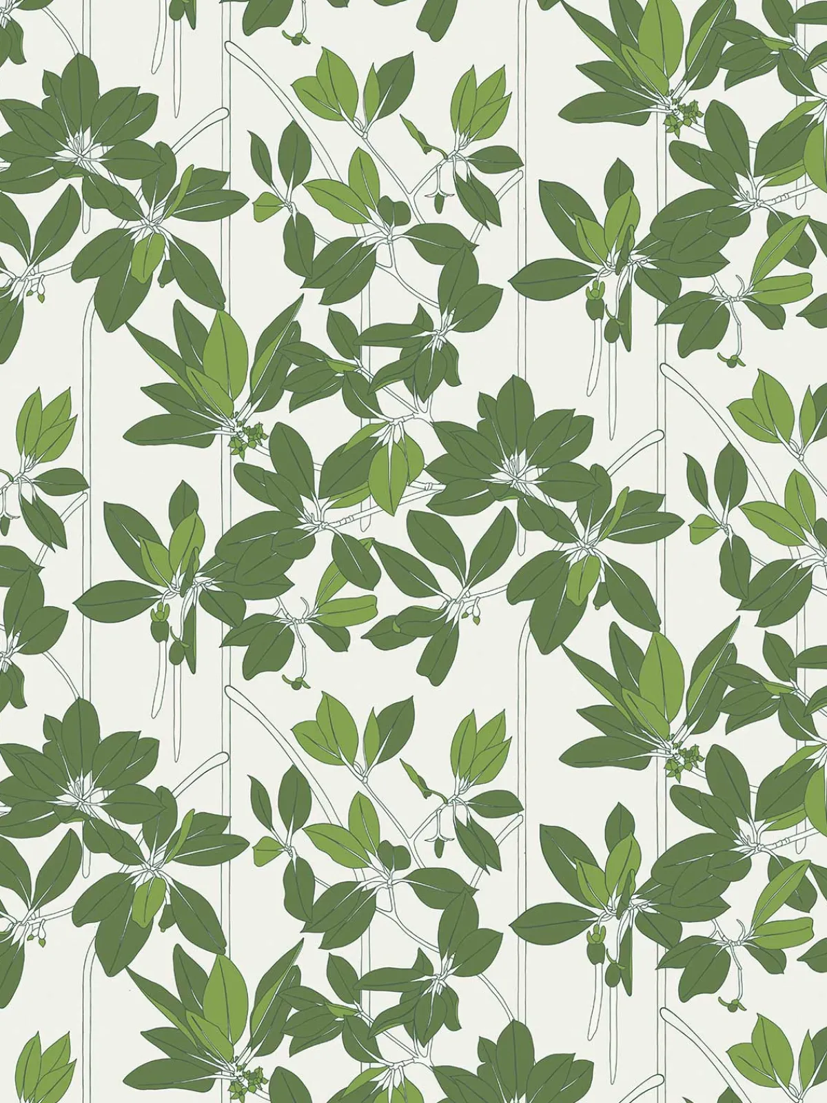 Moye Mangle Wallpaper