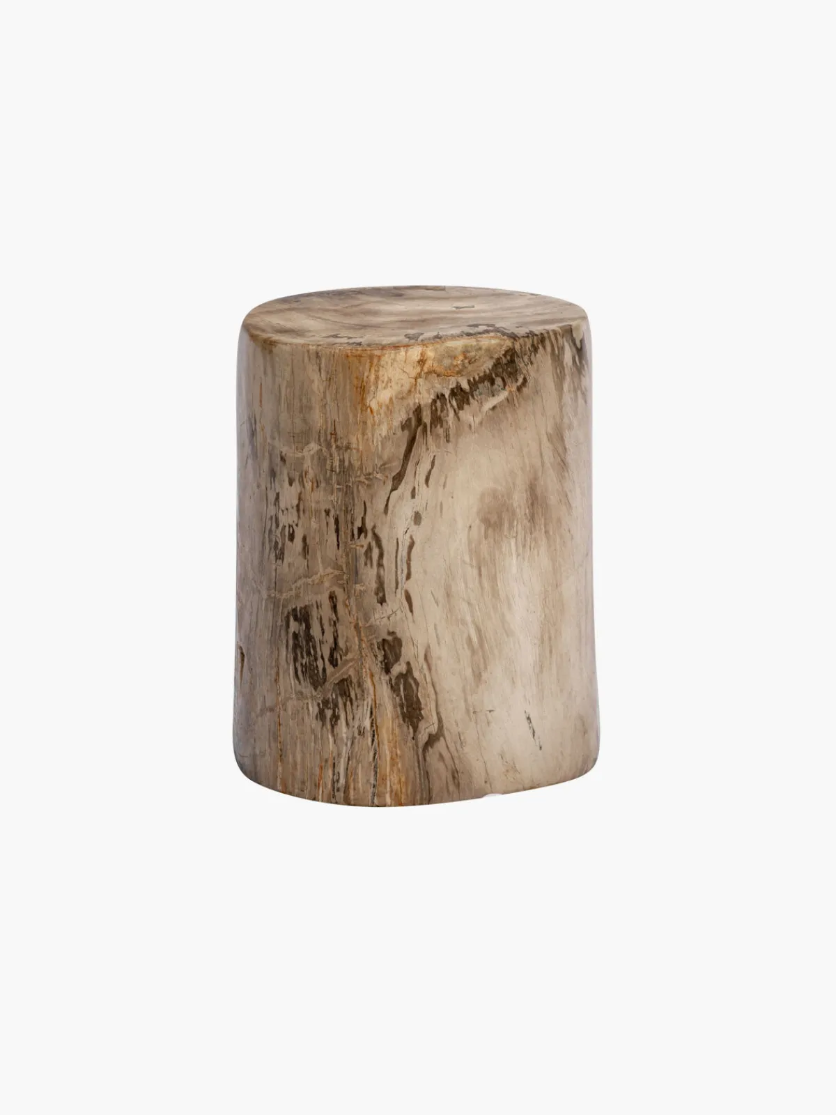 Casa Chiqui 50cm Fossilized Wood Log