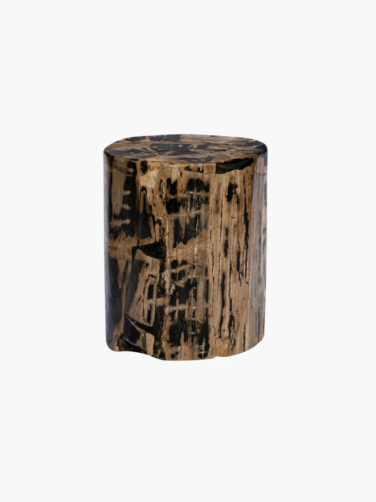 Casa Chiqui Fossilized Wood Trunk With Black Betas