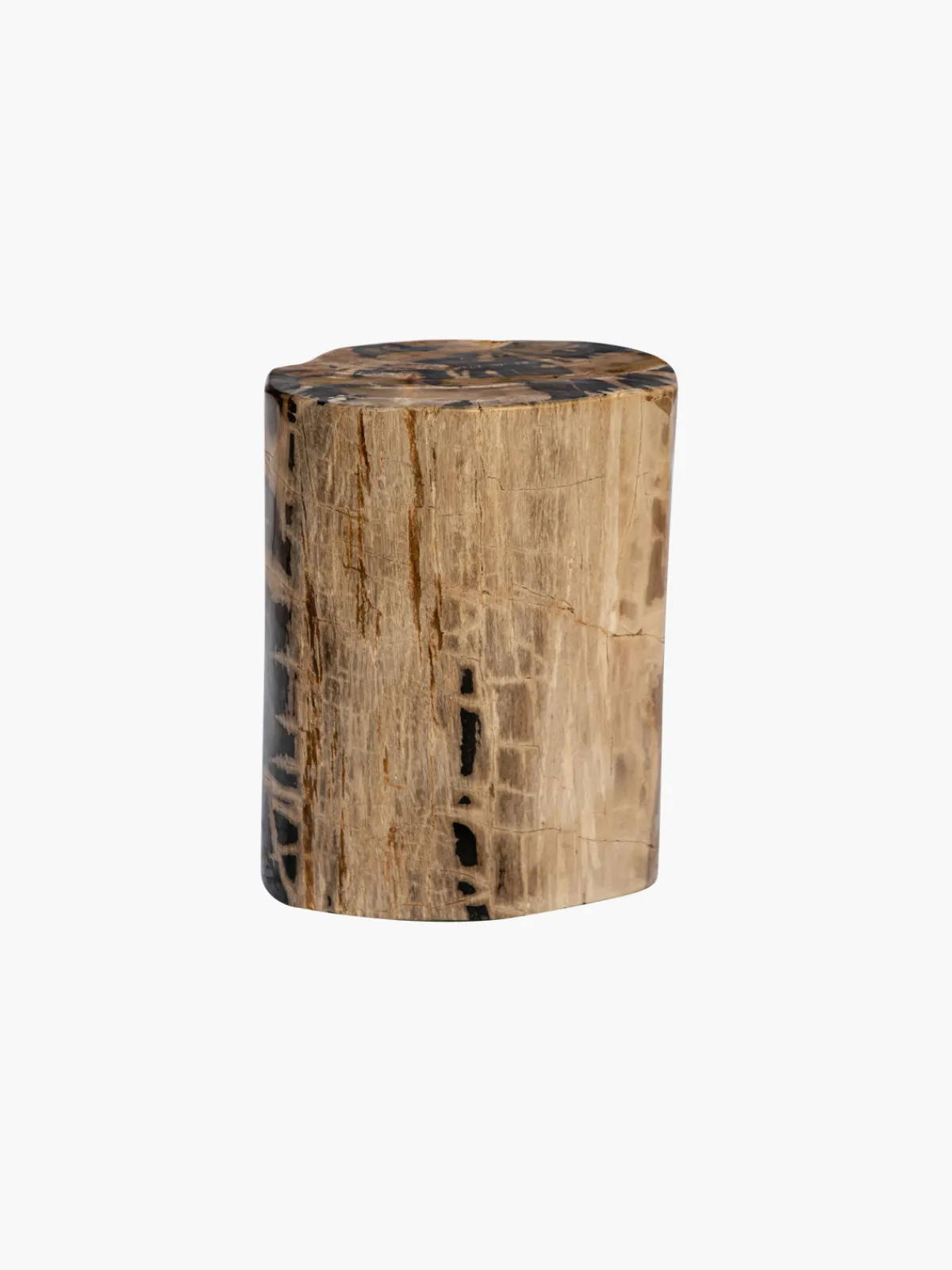 Casa Chiqui Fossilized Wood Trunk With Black Betas