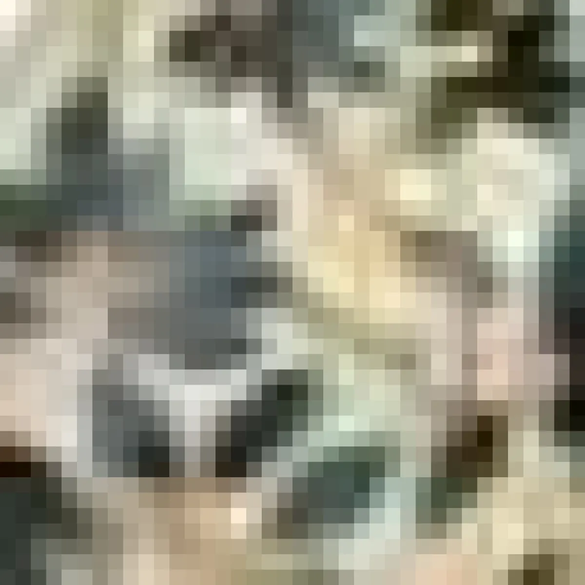 Silvia Furmanovich x Moye Marquetry Mangrove Leaf Tray