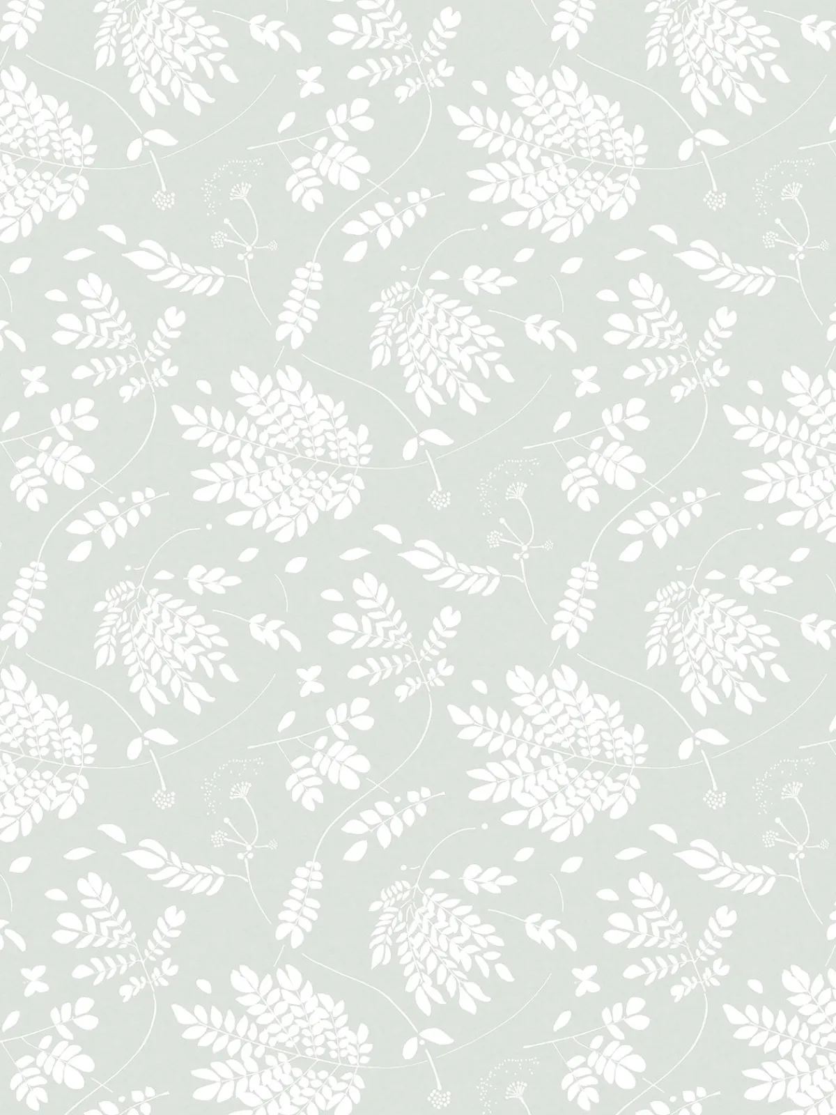 Moye Saman Wallpaper