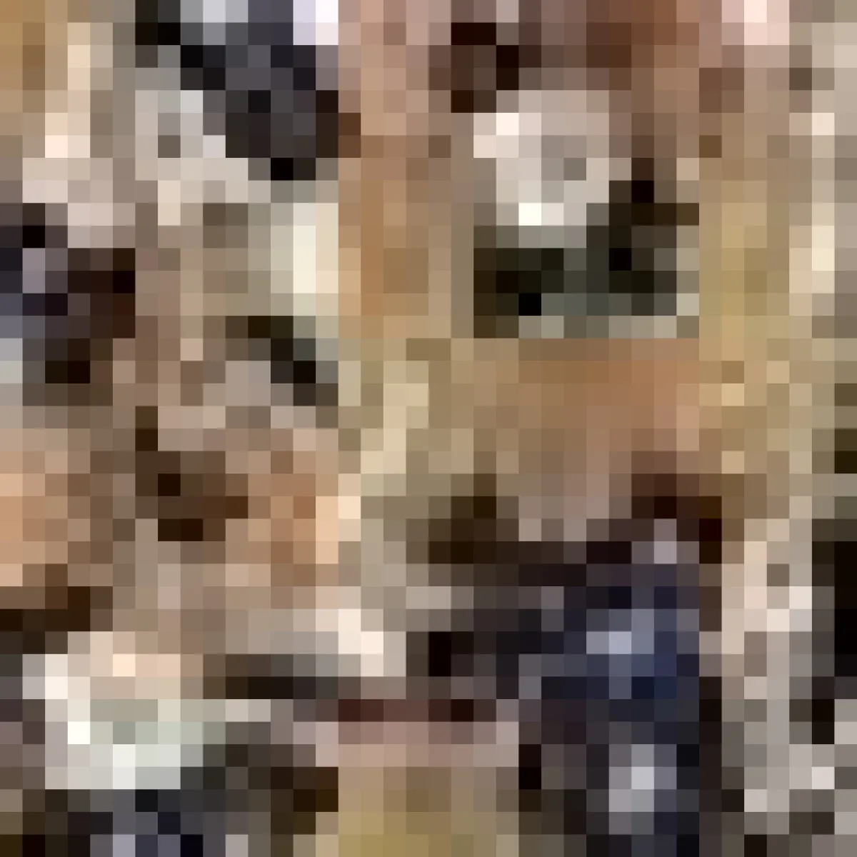 Mi Jong Lee Watercolor Botanic Straight Pant With Step Hem