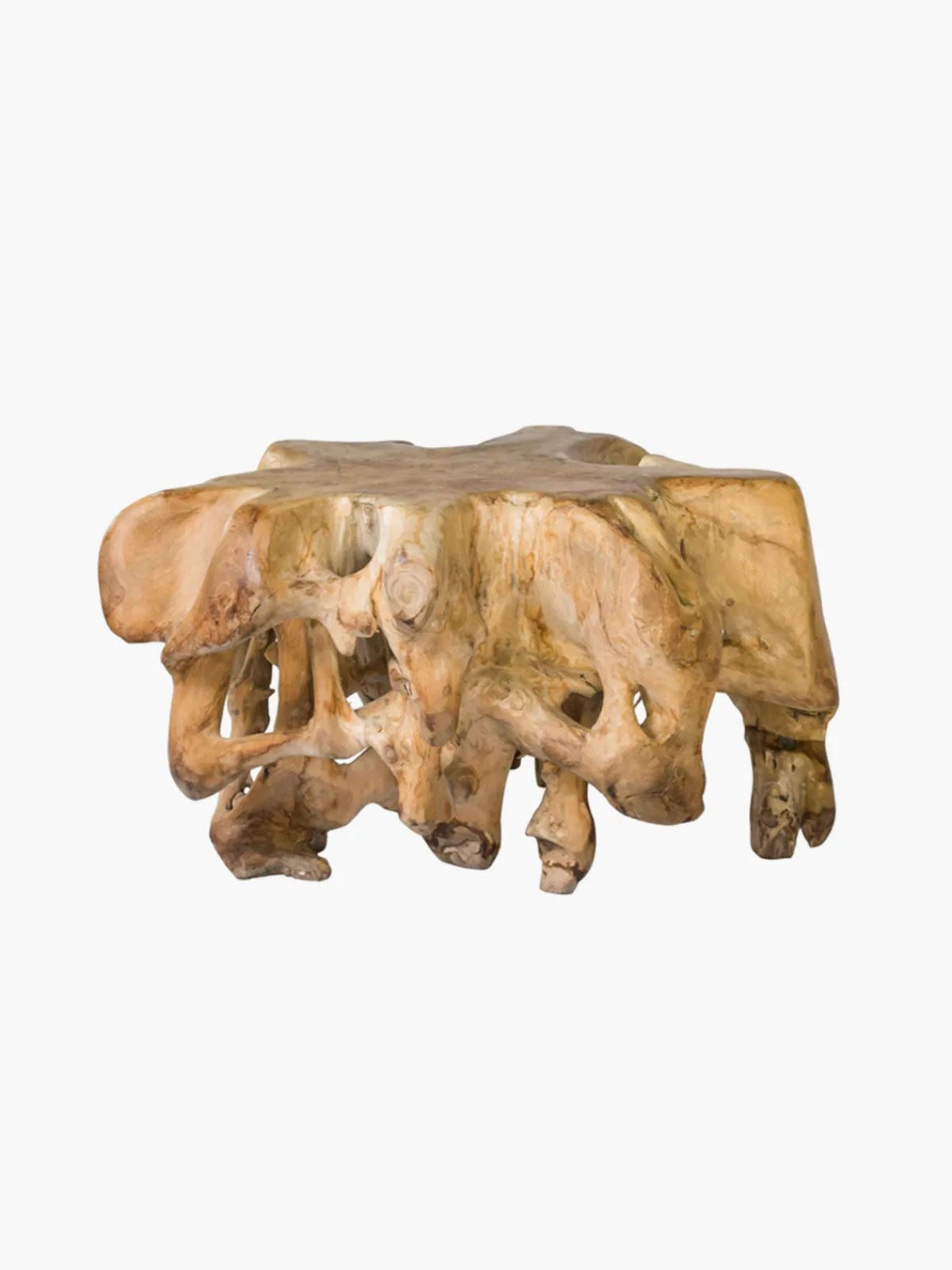 Casa Chiqui 85cm Coffee Table Teak Root