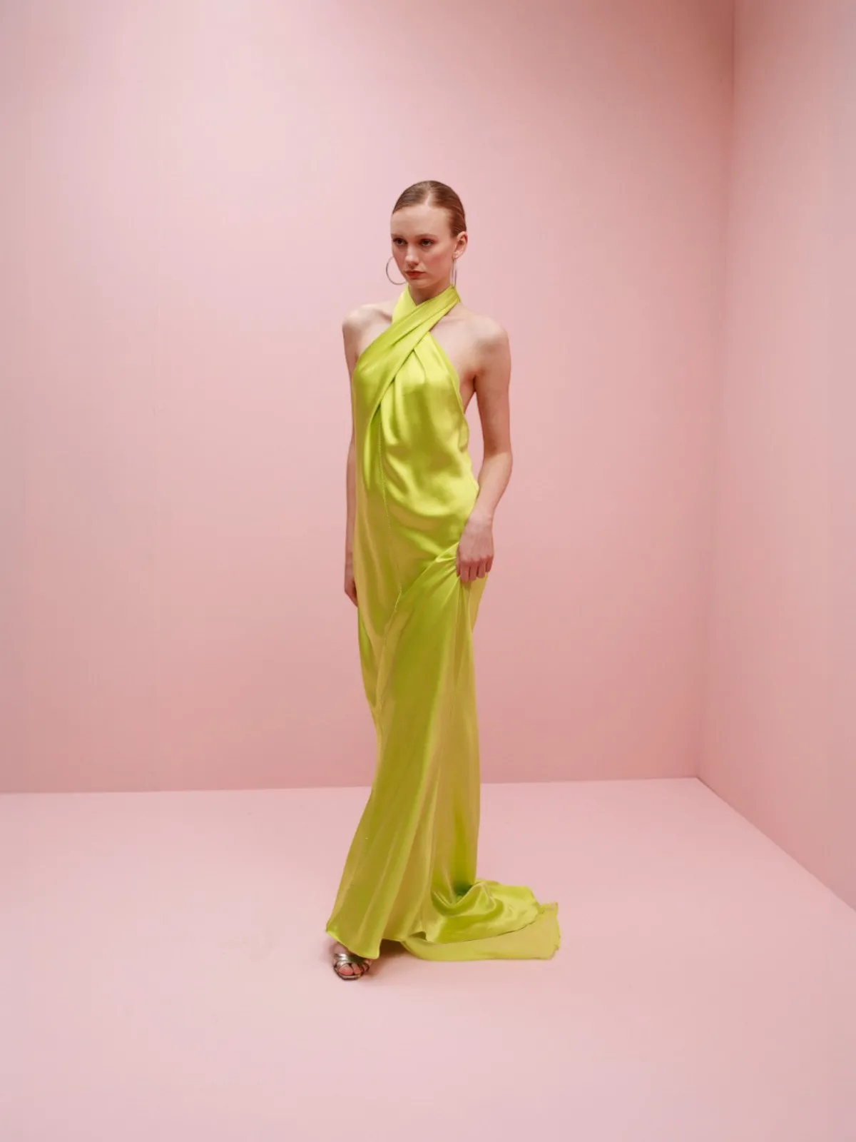 Francesca Miranda Olivia Silk Dress