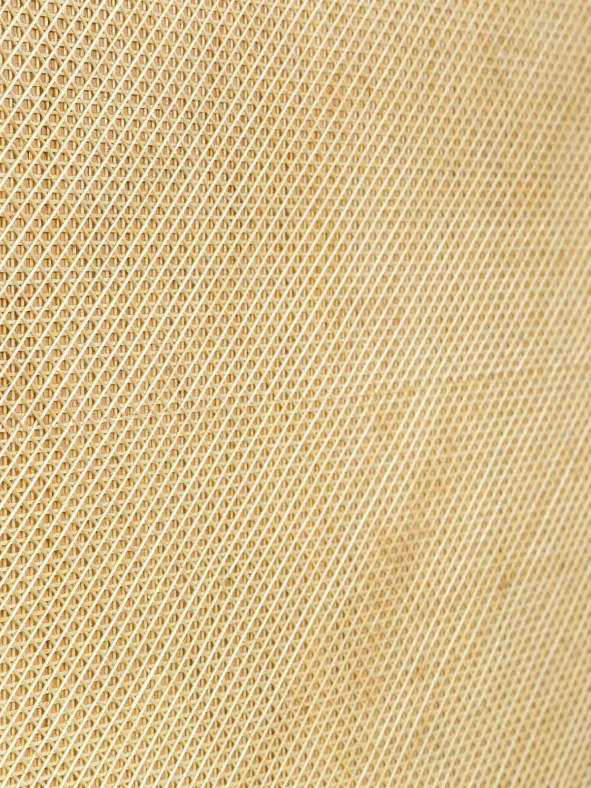 Francesca Miranda Lazo Tamo Bar