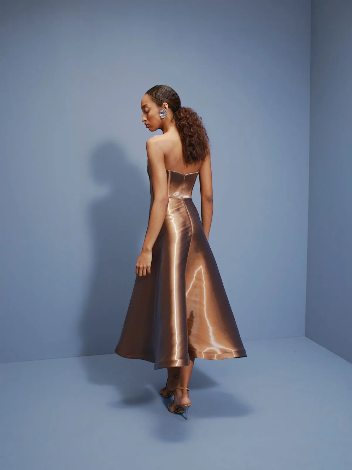 Francesca Miranda Termo Liquid Midi Dress