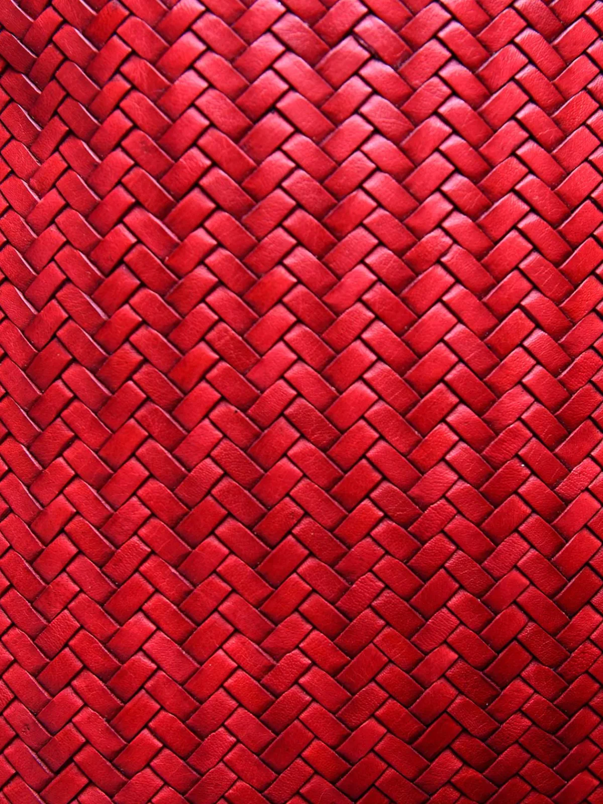 Adriana Castro La Barca