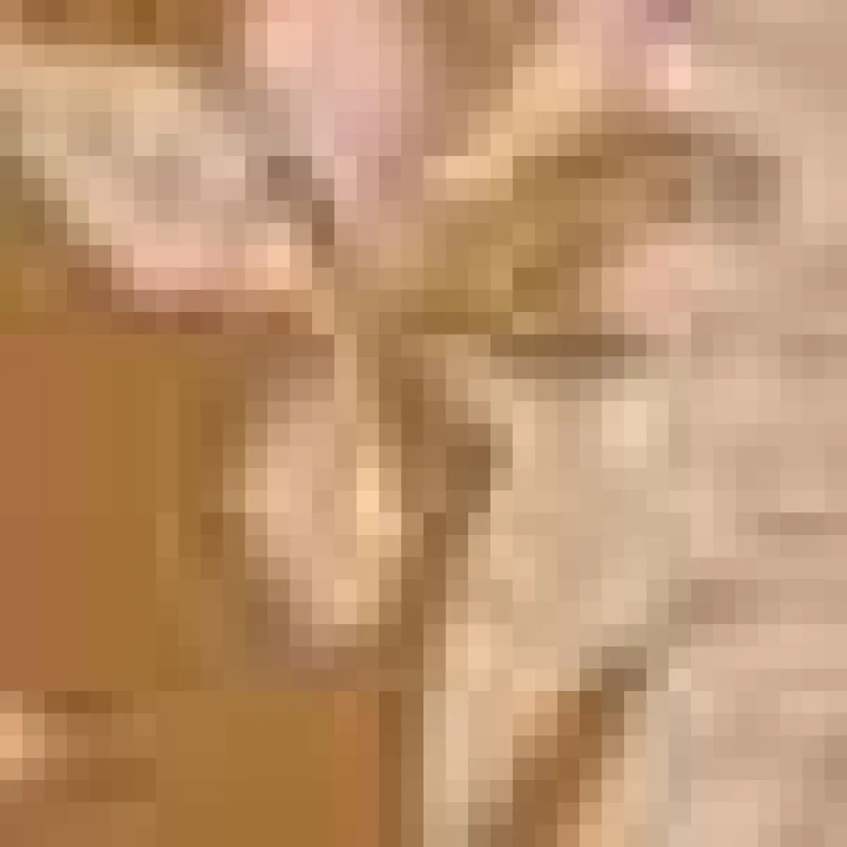 Moye Linen Damask Tutti Le Foglie Charger Plate