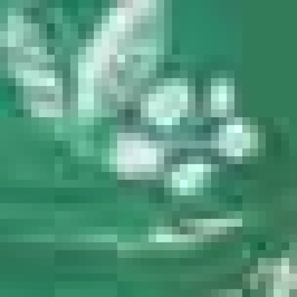 Juan de Dios Casa de Nada Top