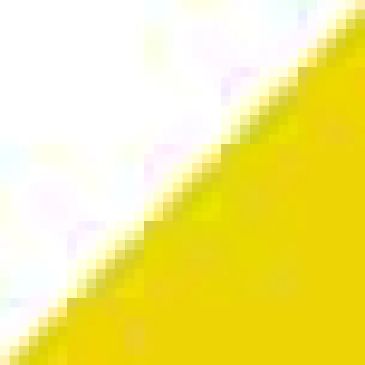 Caalo Reversible Convertible Sustainable Down Coat