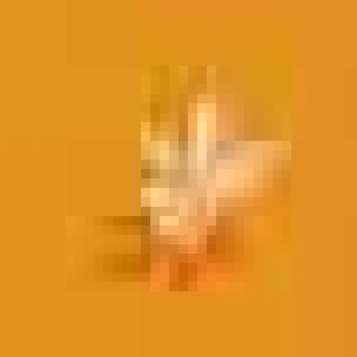 Juan De Dios Embroidered Cocktail Napkins