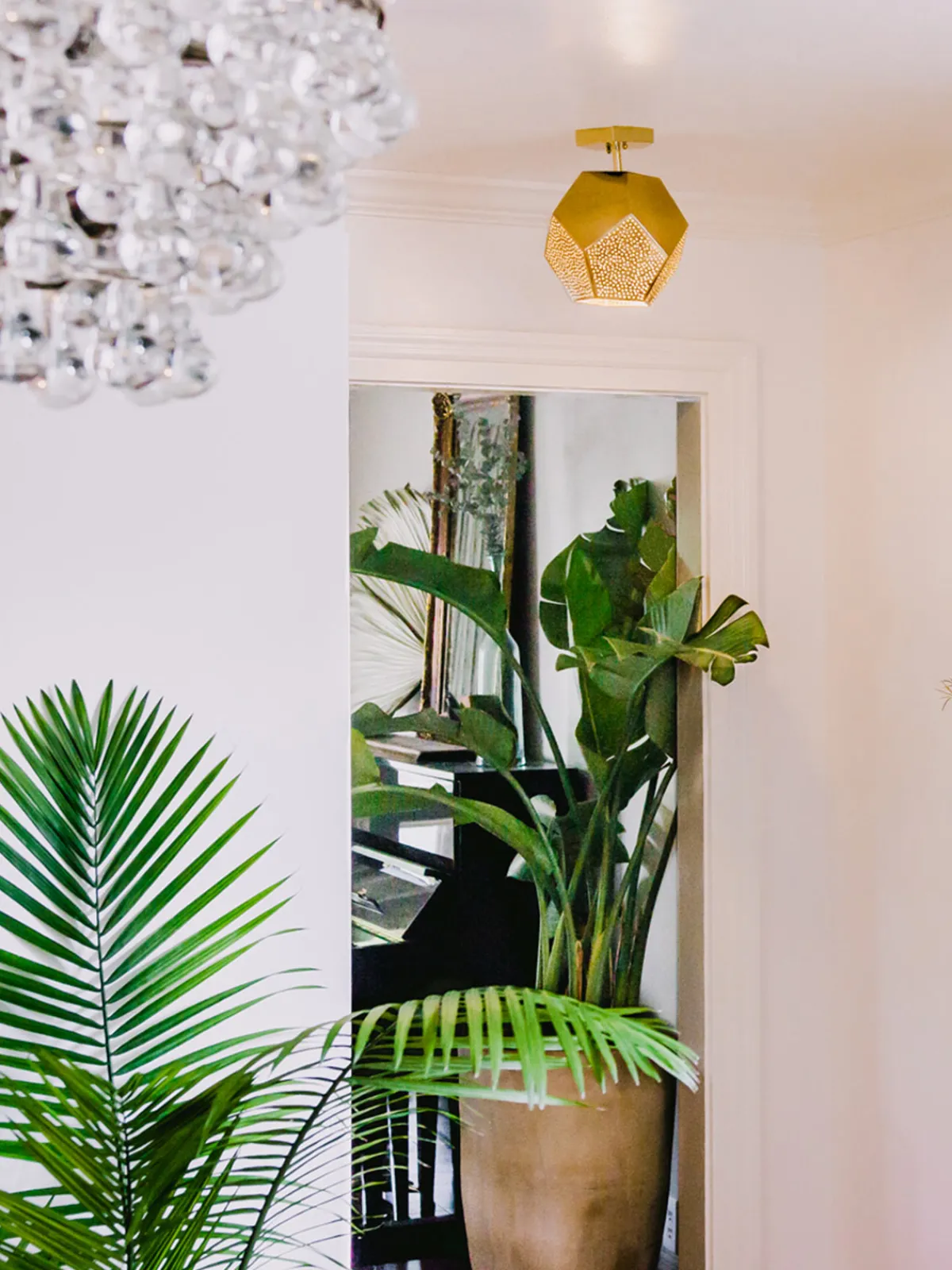 Dounia Ula Semi-Flush Mount Light