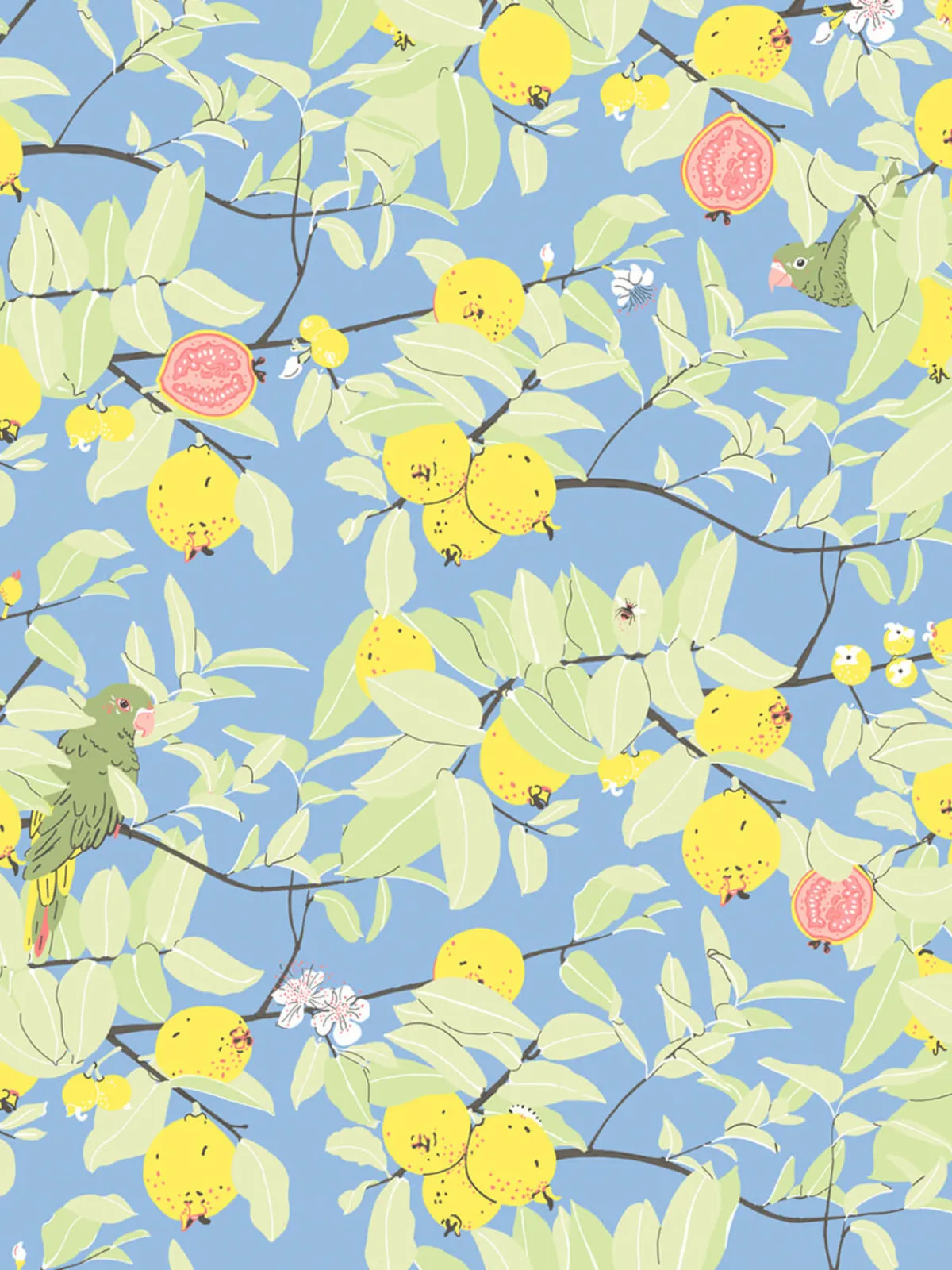 Moye Guayaba Wallpaper