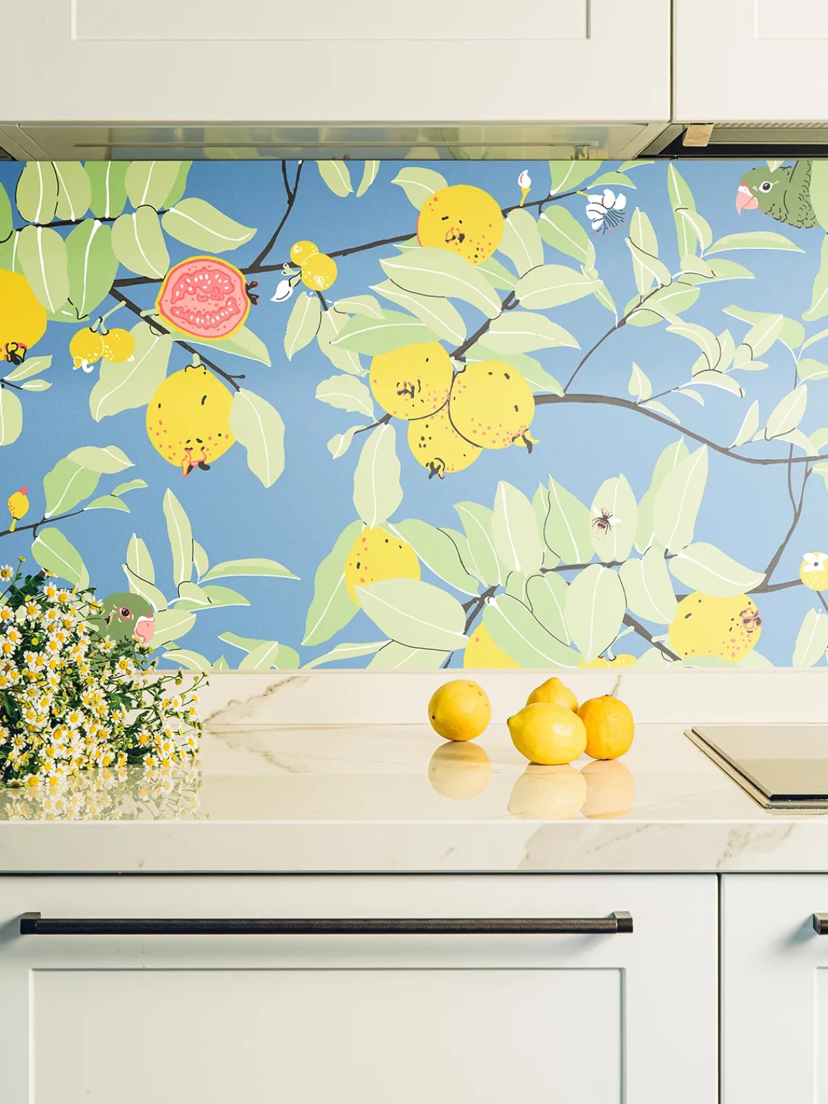 Moye Guayaba Wallpaper