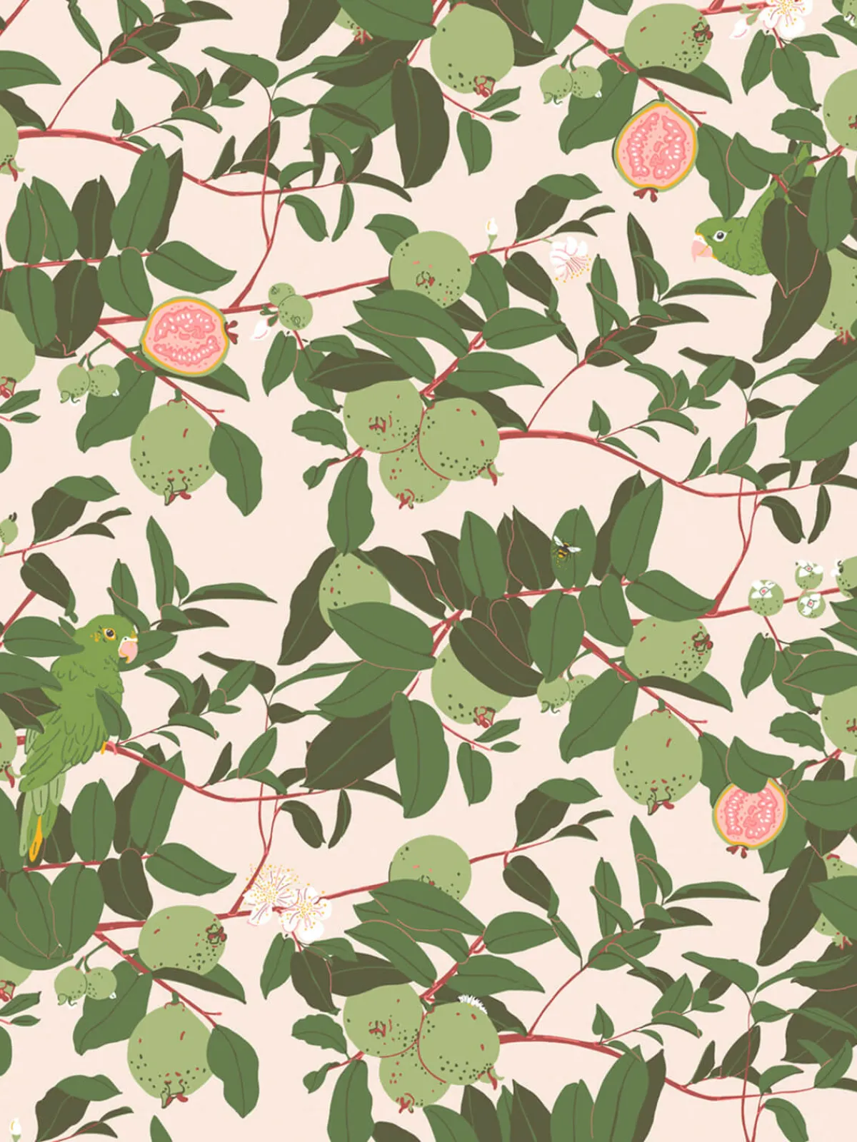 Moye Guayaba Wallpaper