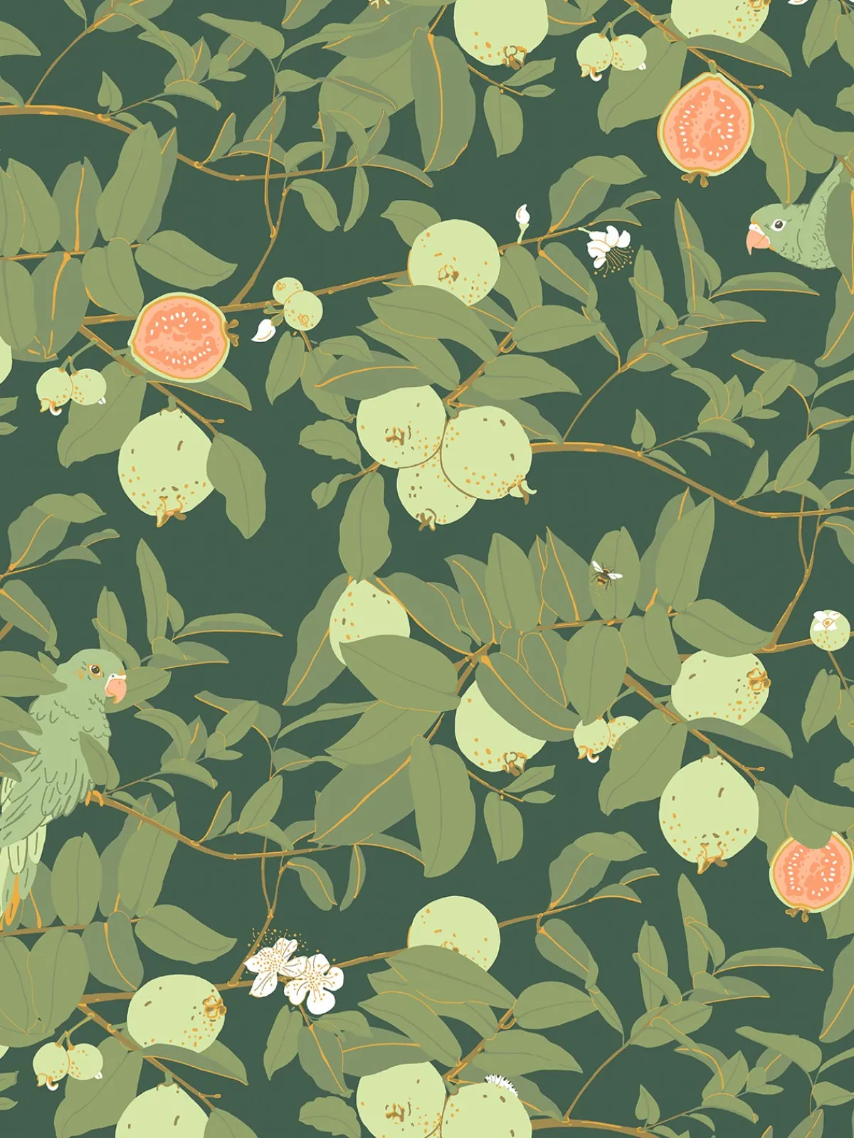 Moye Guayaba Wallpaper