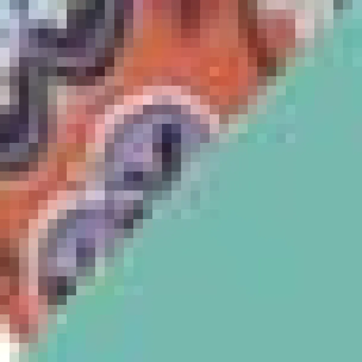 Juan de Dios Sunset Waves Top