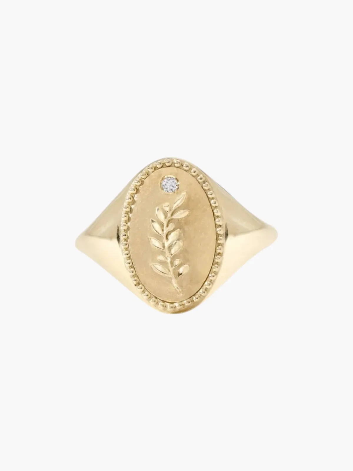 Zahava Signet Ring