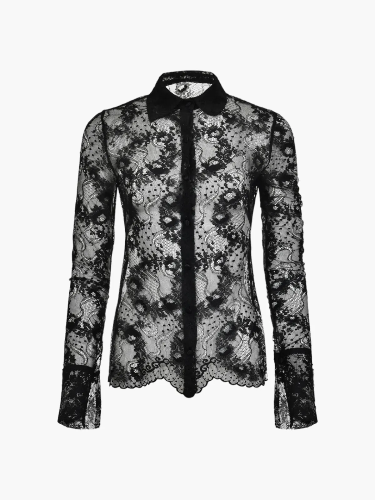 Francesca Miranda Arena Lace Blouse