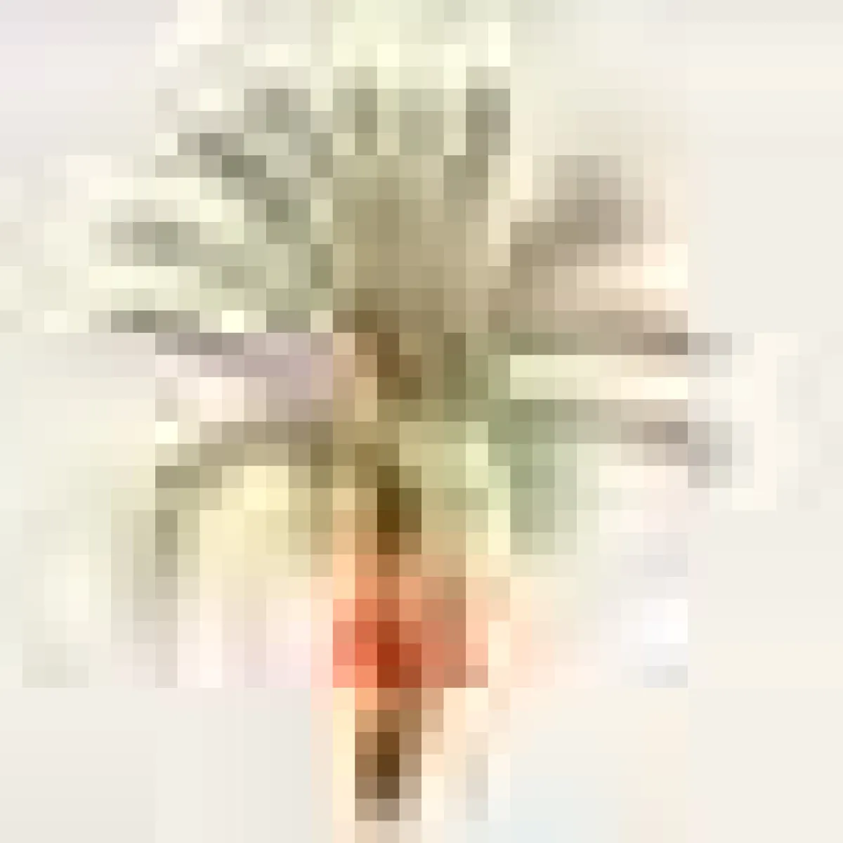 Juan De Dios Embroidered Linen Napkins