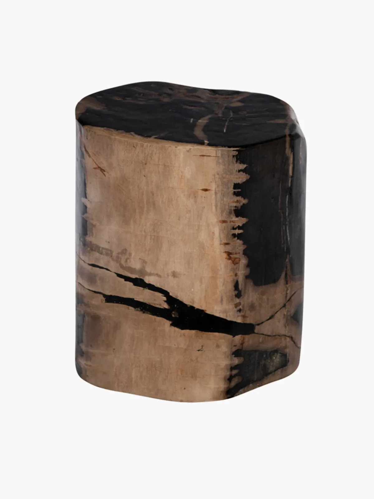 Casa Chiqui Fossilized Wood Log