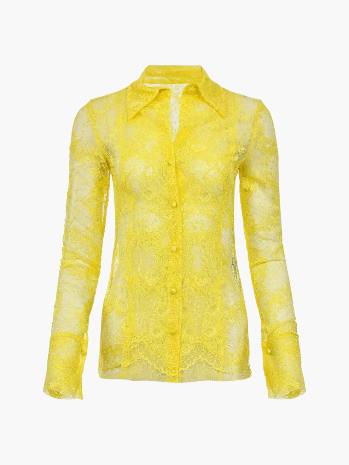 Francesca Miranda Arena Peto Lace Blouse