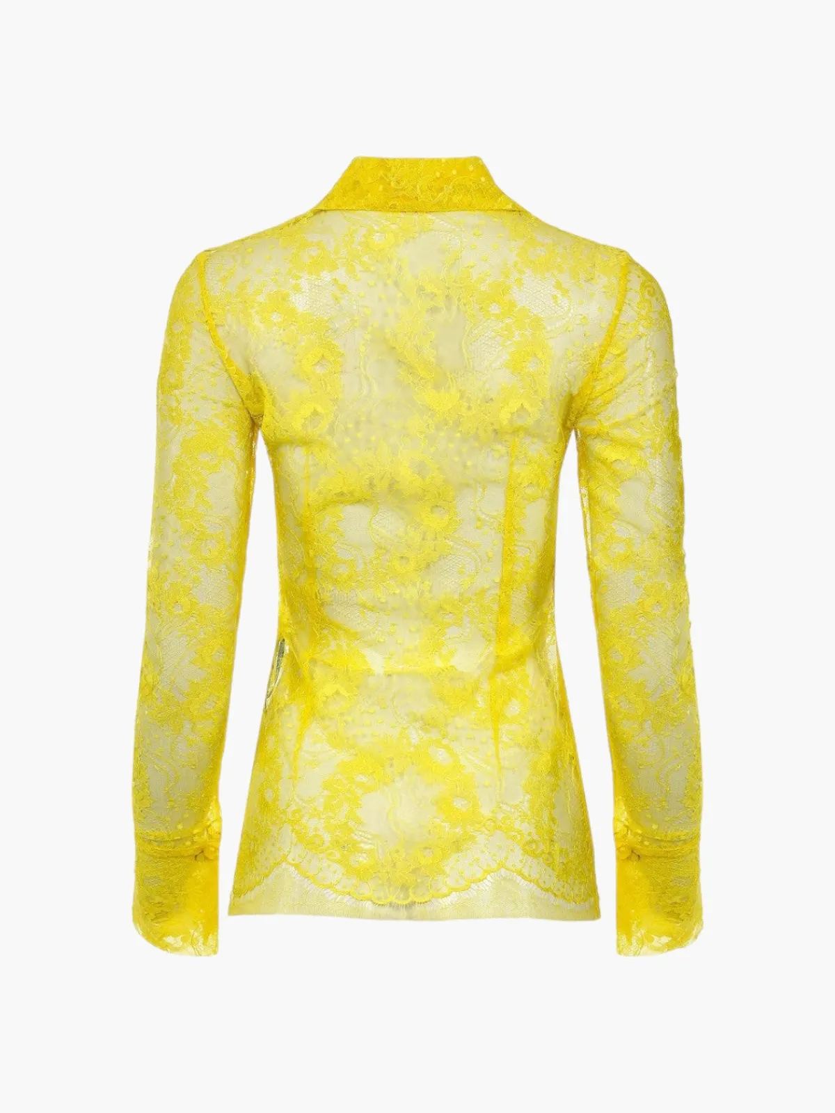 Francesca Miranda Arena Peto Lace Blouse