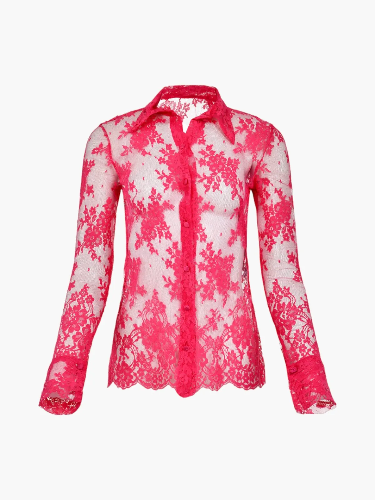 Francesca Miranda Arena Lace Blouse