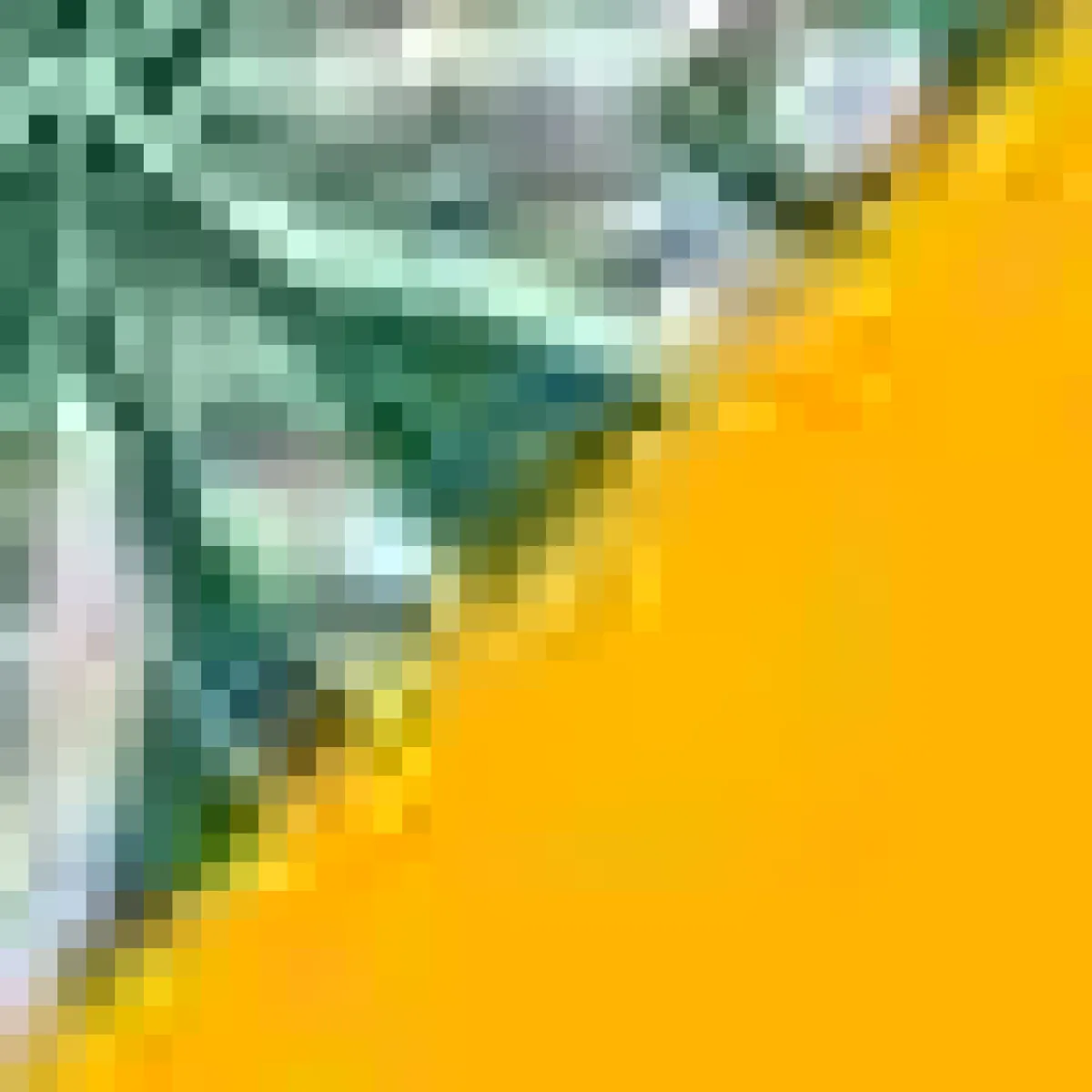 Juan de Dios Brazil Bottom