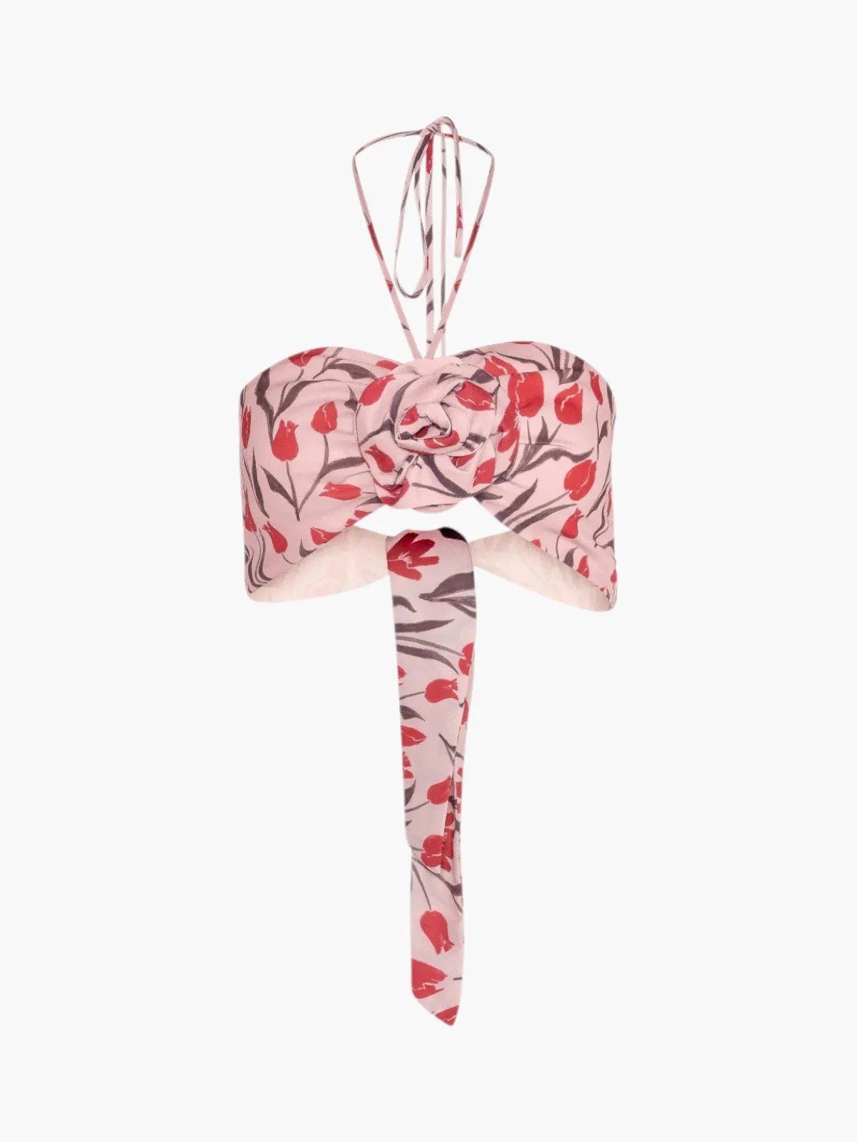 Estefania Secret Garden Crop Top