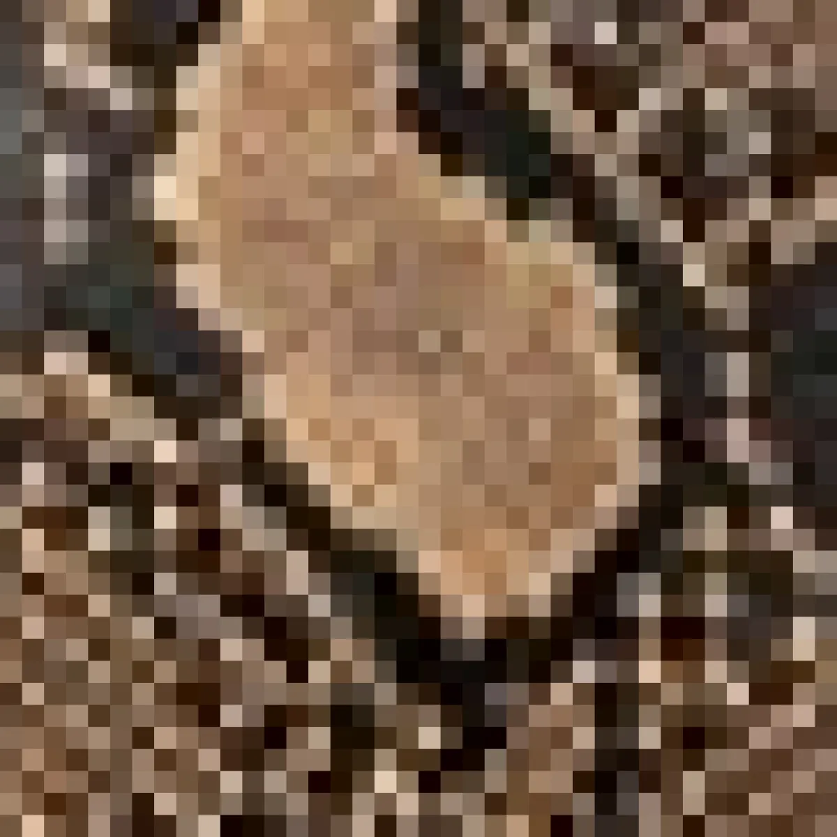 Zeta Alegra Mini Dress