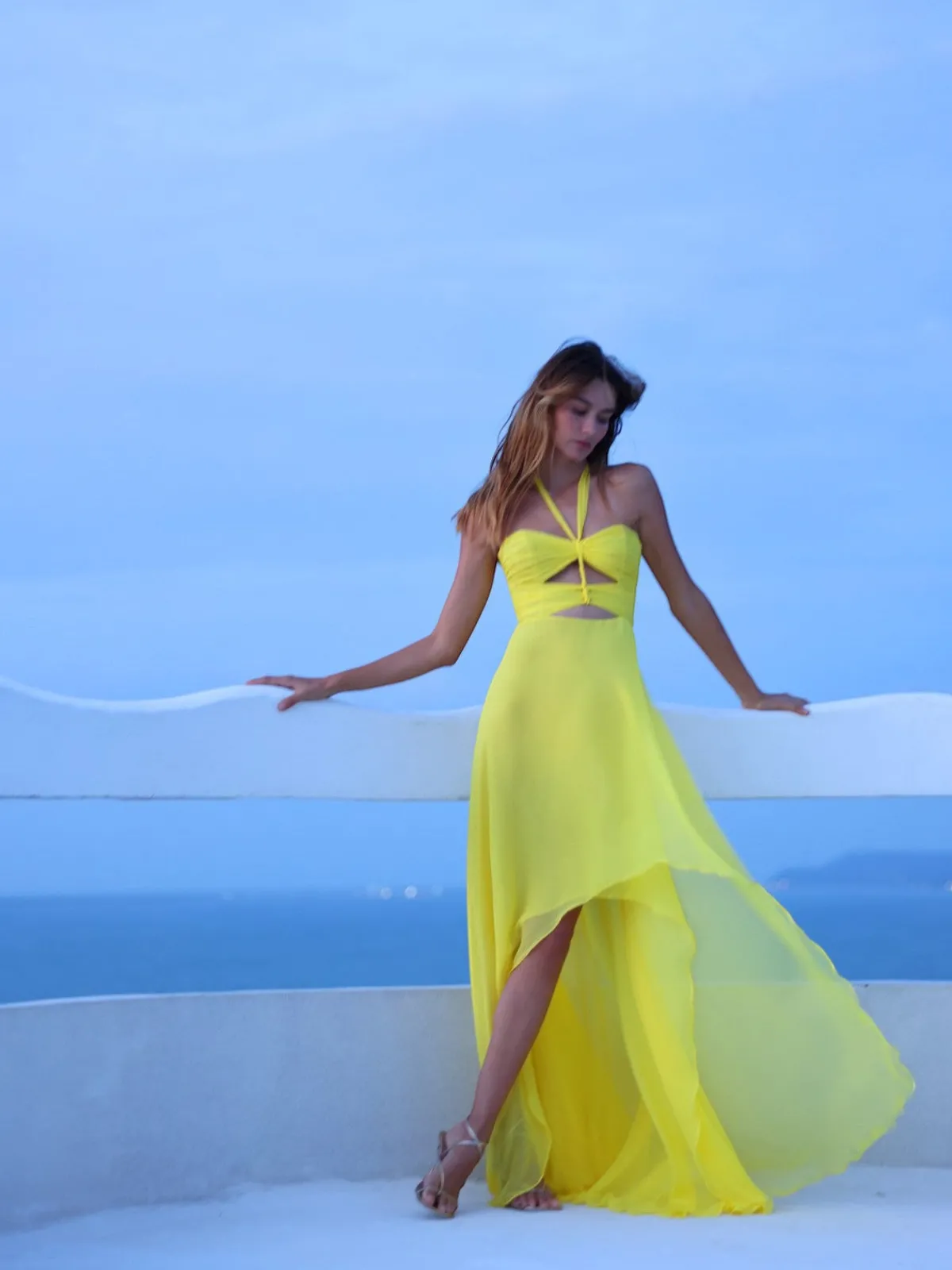 Francesca Miranda Leon High-Low Dress