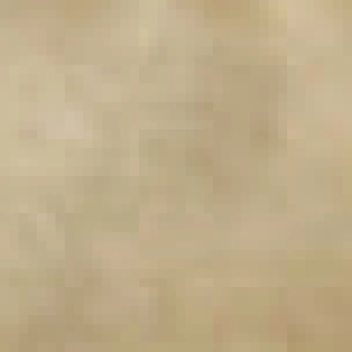 Dounia Nur Reversed Wall Sconce Dual Globe